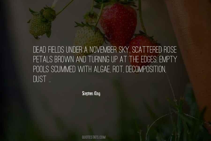 Red Rose Petals Quotes #1822602
