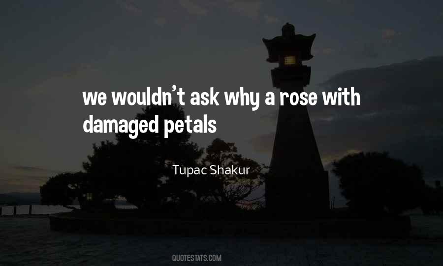 Red Rose Petals Quotes #439358