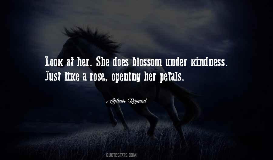 Red Rose Petals Quotes #574736