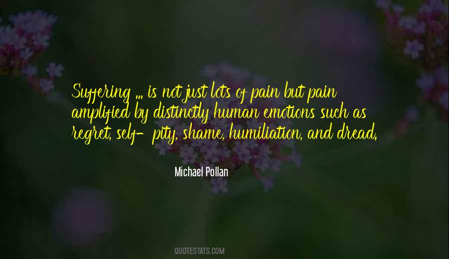 Regret And Pain Quotes #337761