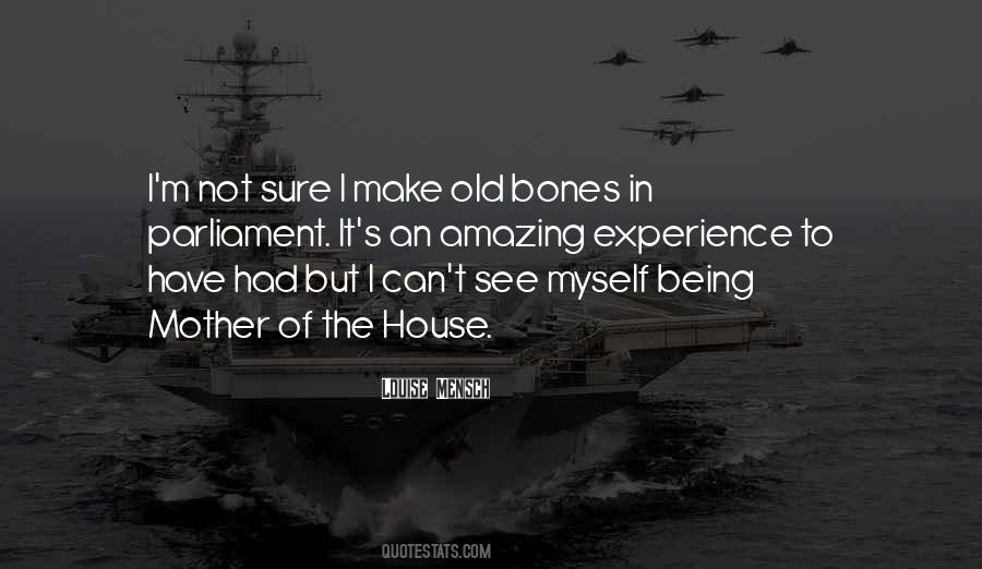 Quotes About An Amazing Experience #1543118
