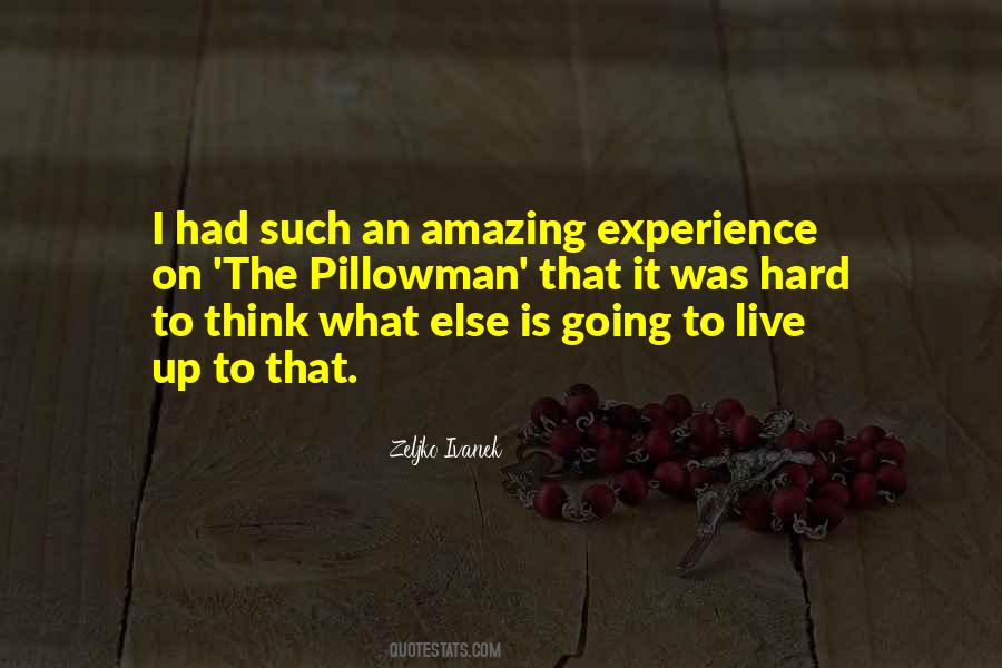 Quotes About An Amazing Experience #684181