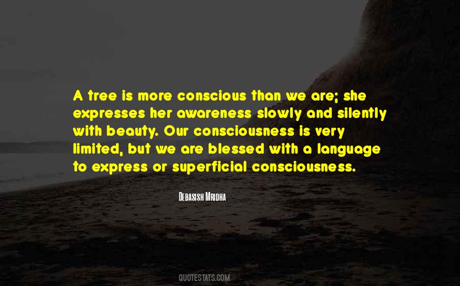 Quotes About Superficial Beauty #201049