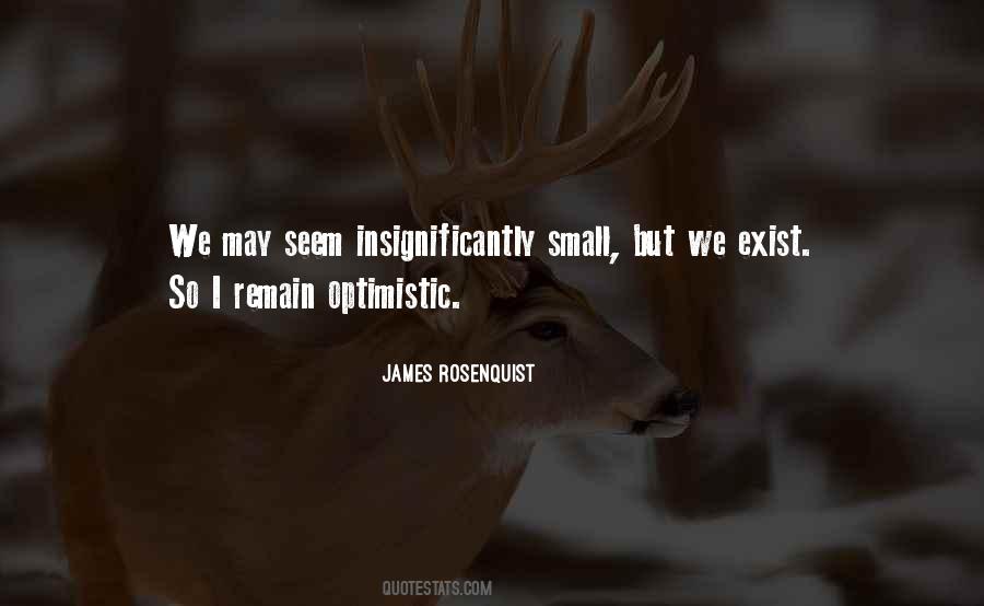 Remain Optimistic Quotes #54743