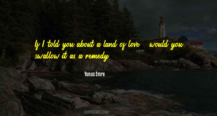 Remedy Love Quotes #144893