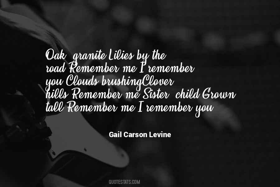 Remember Me Quotes #1443016