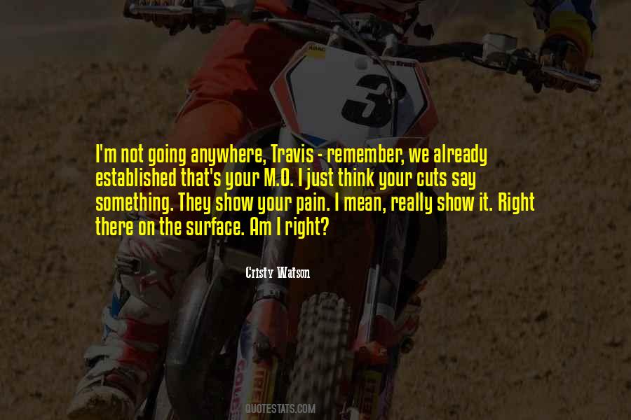 Remember The Pain Quotes #1070084