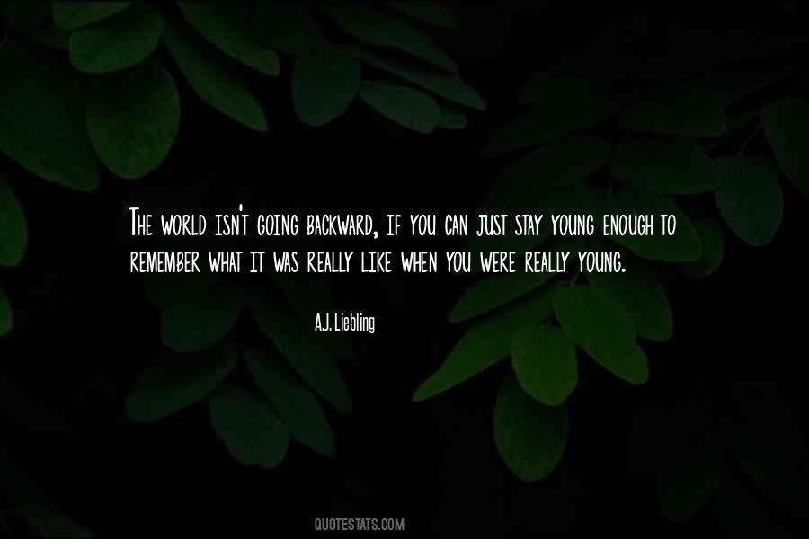 Remember When You Were Young Quotes #1454256