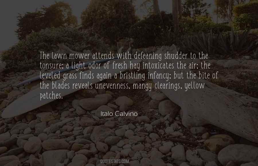 Quotes About Italo Calvino #191886