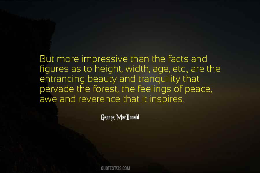 Quotes About Beauty And Peace #1305328