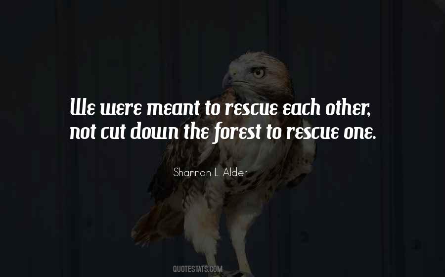 Rescuers Down Under Quotes #1110735