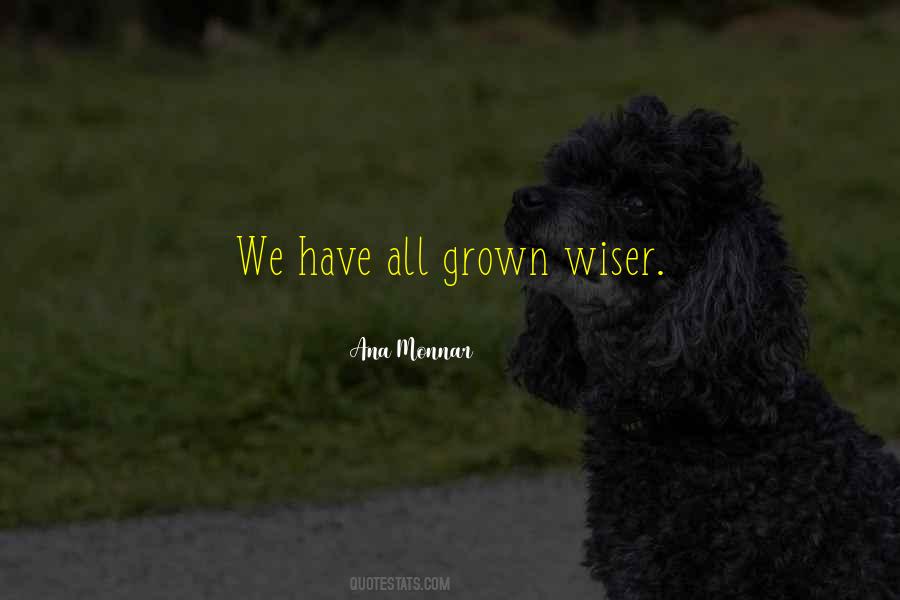 Quotes About Being Wiser #88654
