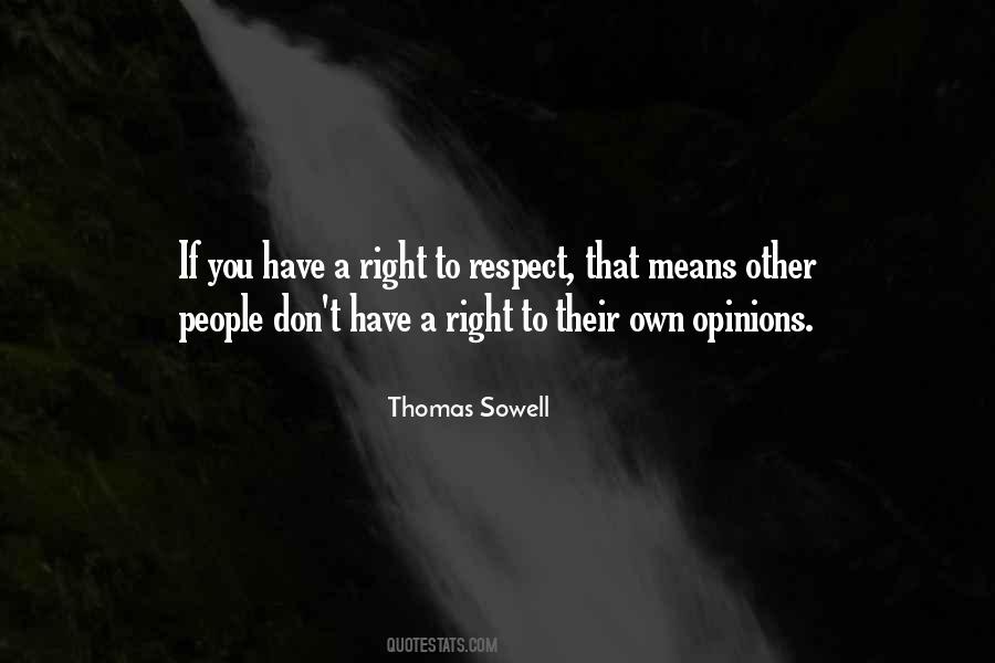 Respect Others Opinions Quotes #1370837