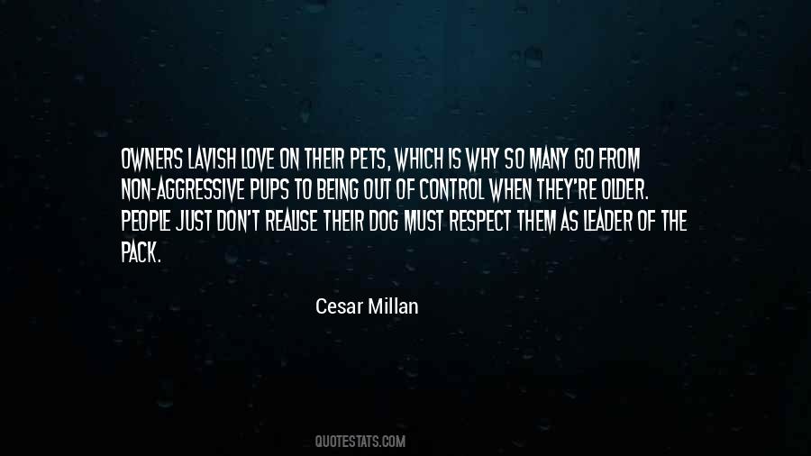 Respect Them Quotes #1033792