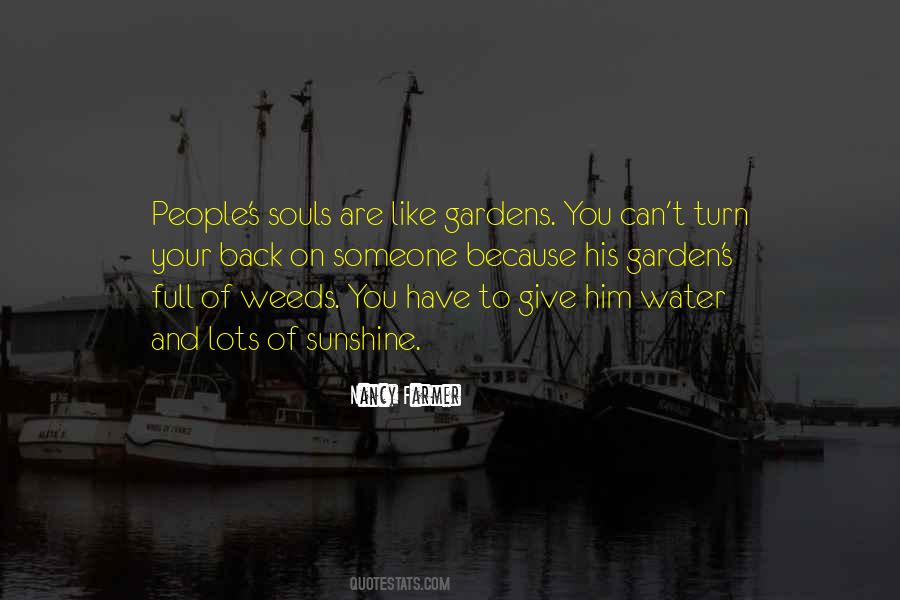 Quotes About Sunshine And Water #41025
