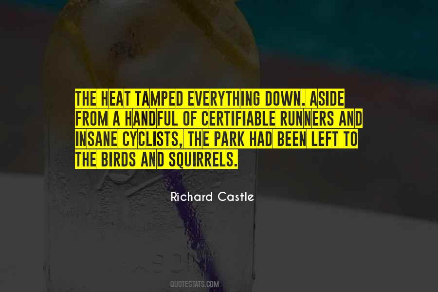 Richard Castle Best Quotes #377864