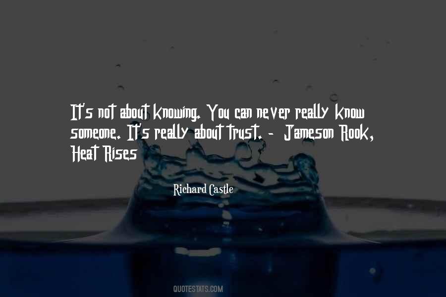 Richard Castle Best Quotes #447815