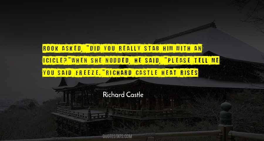 Richard Castle Best Quotes #990620
