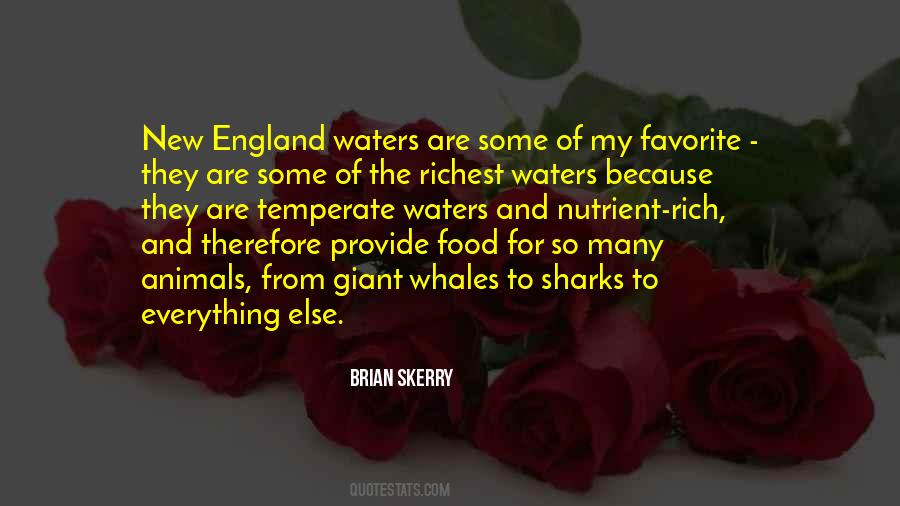 Richest Quotes #1020011