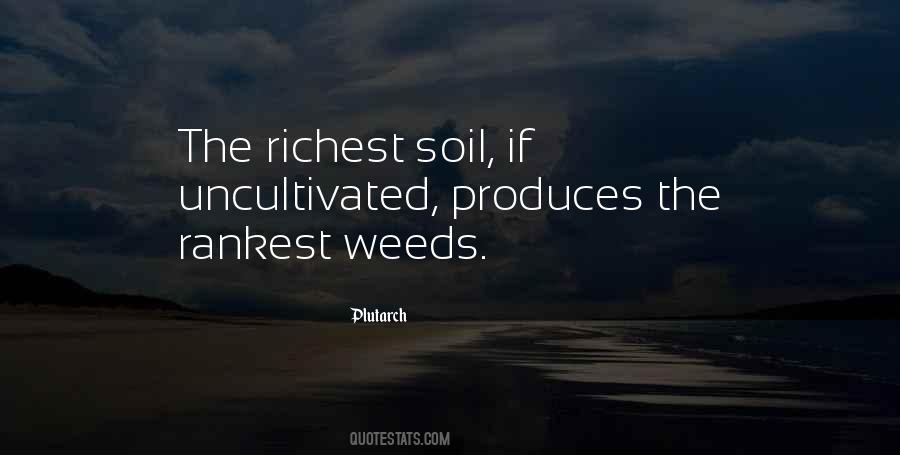 Richest Quotes #1274094