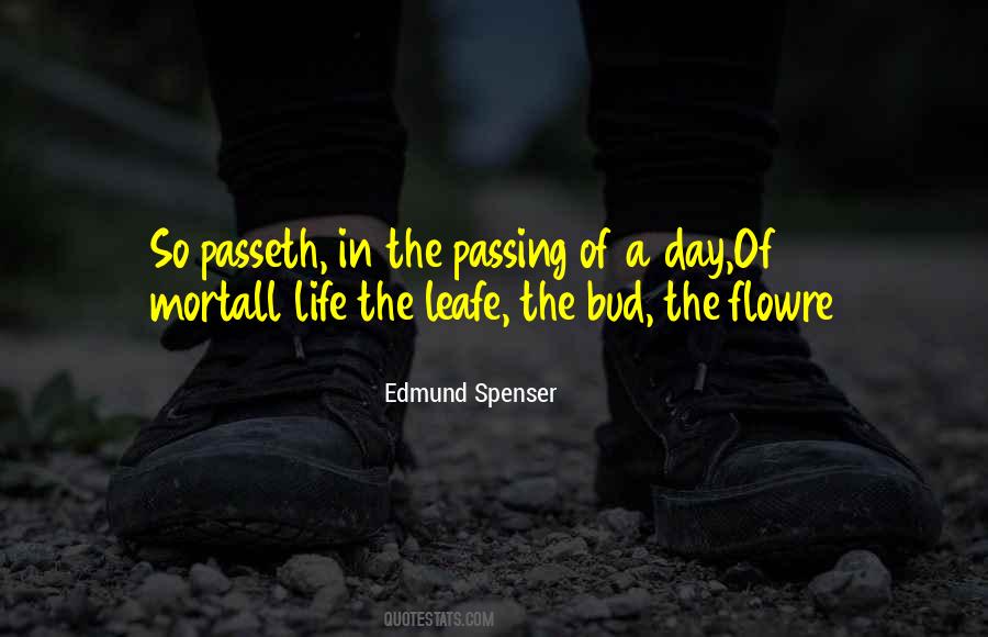 Quotes About Edmund Spenser #1341342