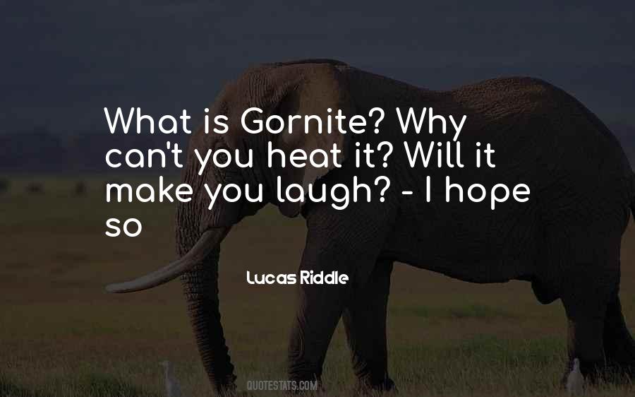 Riddle Quotes #7119