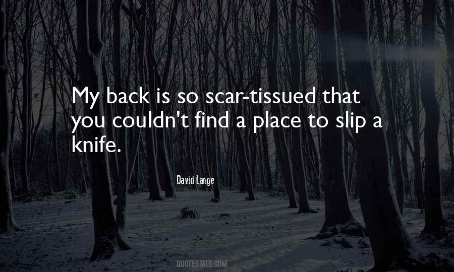 Riddley Walker Quotes #1512622
