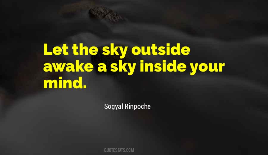 Rinpoche Quotes #348054