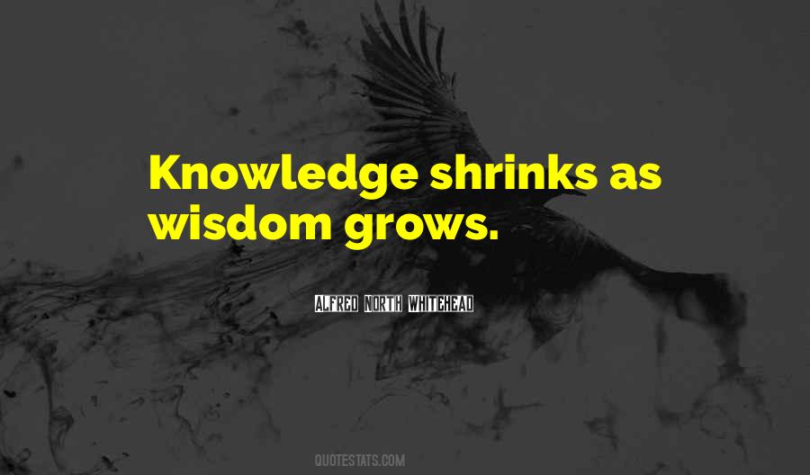 Quotes About Wisdom #1131309