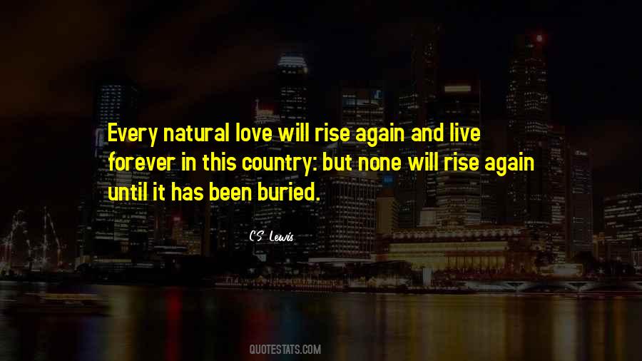 Rise And Rise Again Quotes #900745