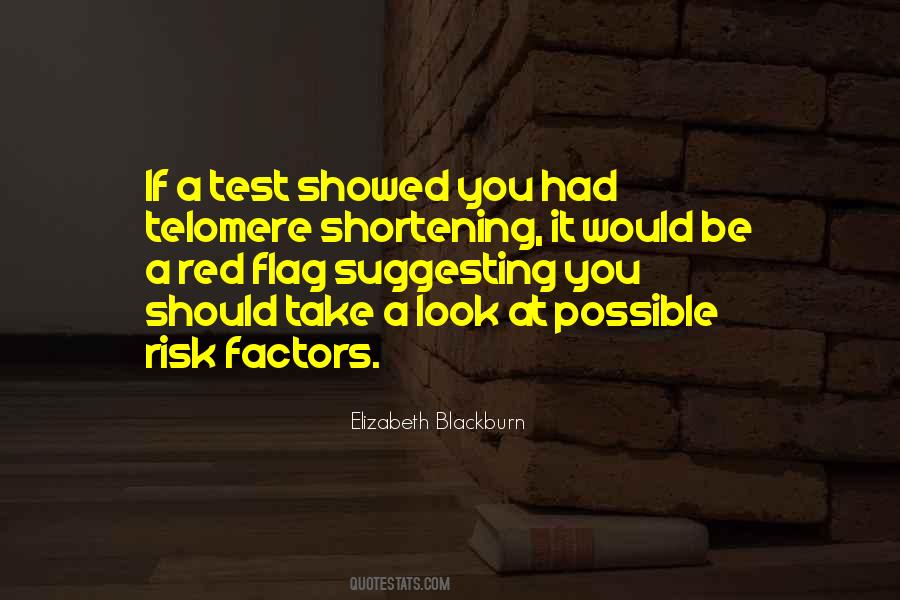 Risk Factors Quotes #302195