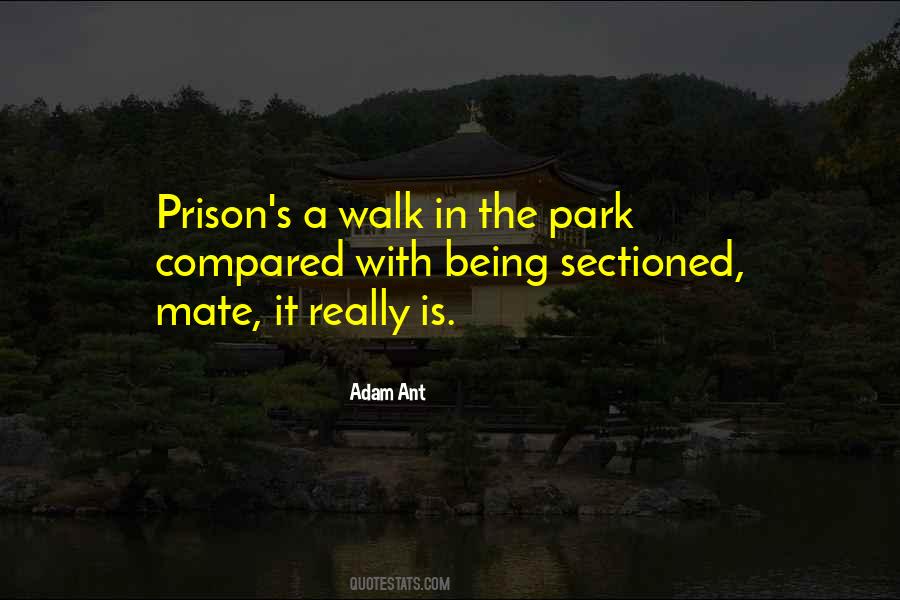 Quotes About A Walk In The Park #558651