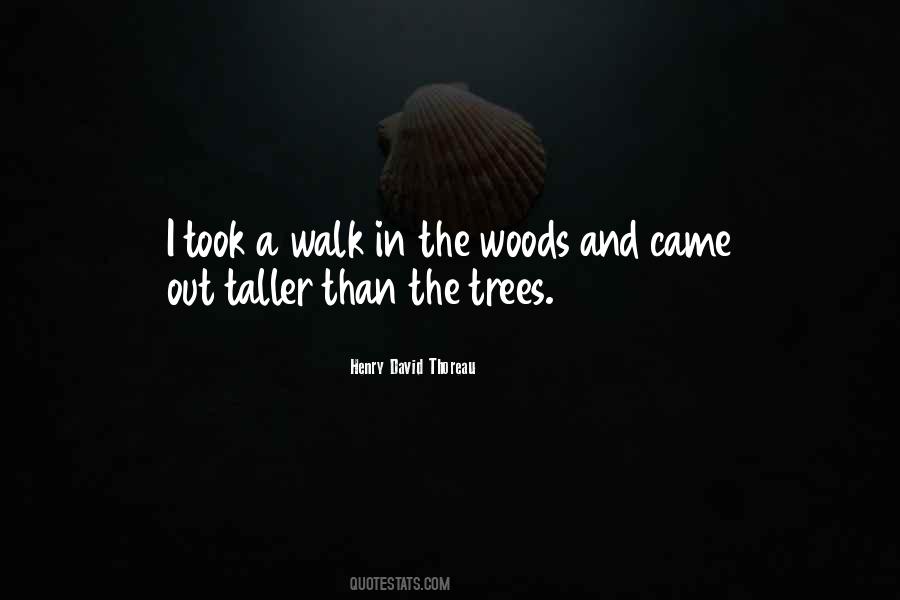 Quotes About A Walk In The Woods #1236515