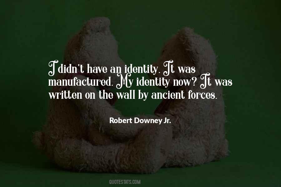 Robert Downey Quotes #368805