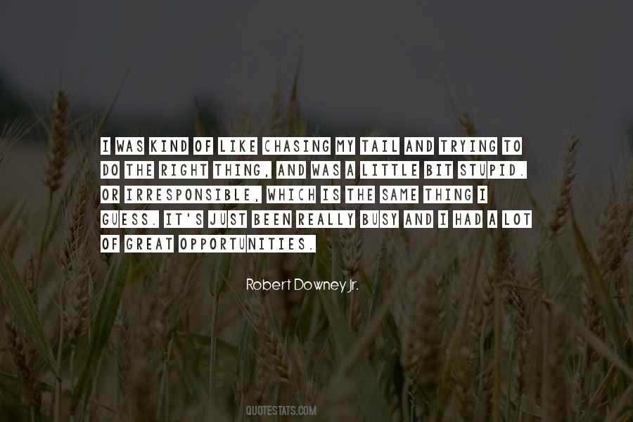 Robert Downey Quotes #980733