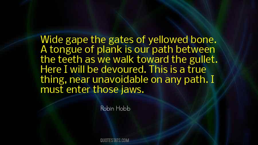 Robin Hobb Farseer Quotes #1328755