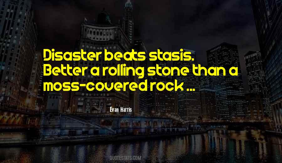 Rock Stones Quotes #1039960