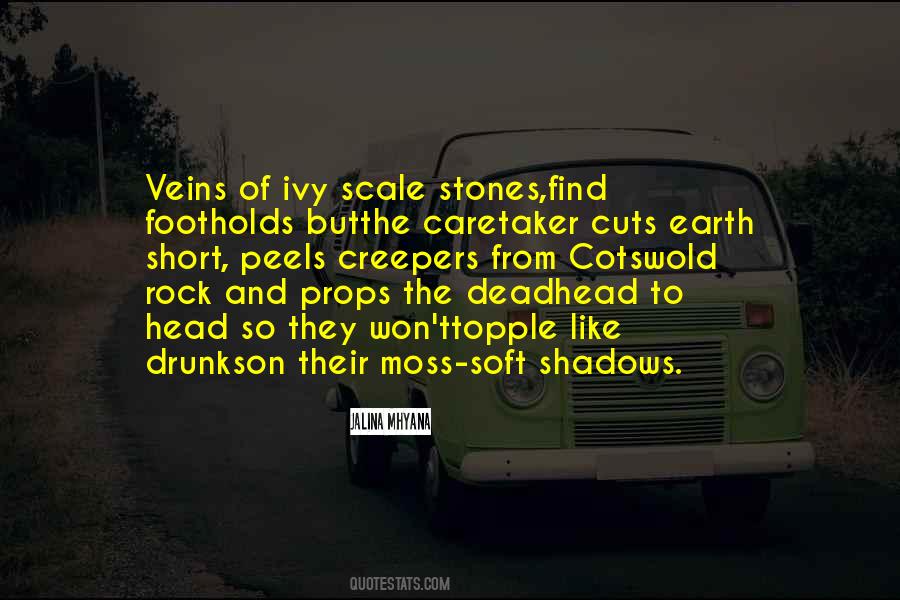 Rock Stones Quotes #1394768