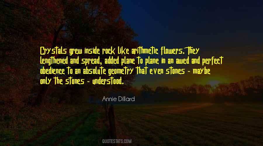 Rock Stones Quotes #972644