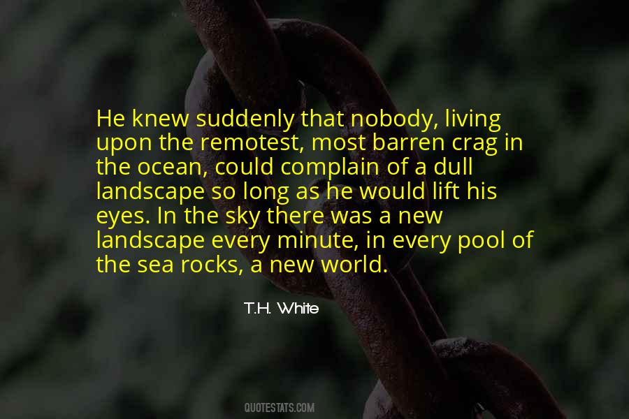 Rocks In The Ocean Quotes #1724806