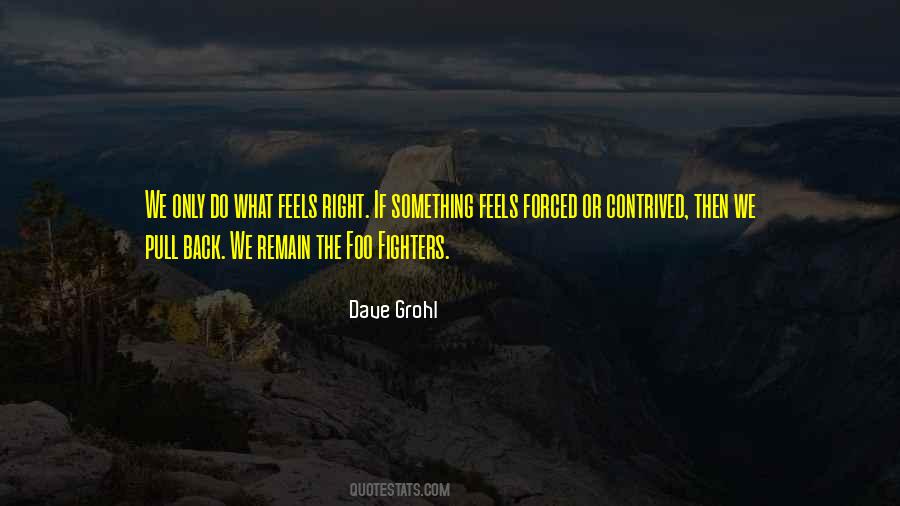Quotes About Foo Fighters #1650278