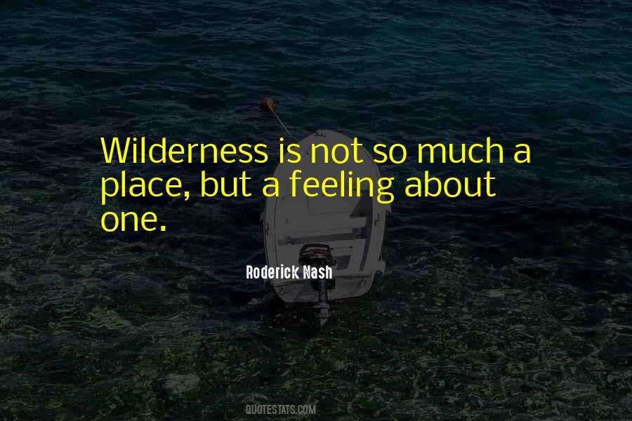 Roderick Nash Wilderness Quotes #1033584