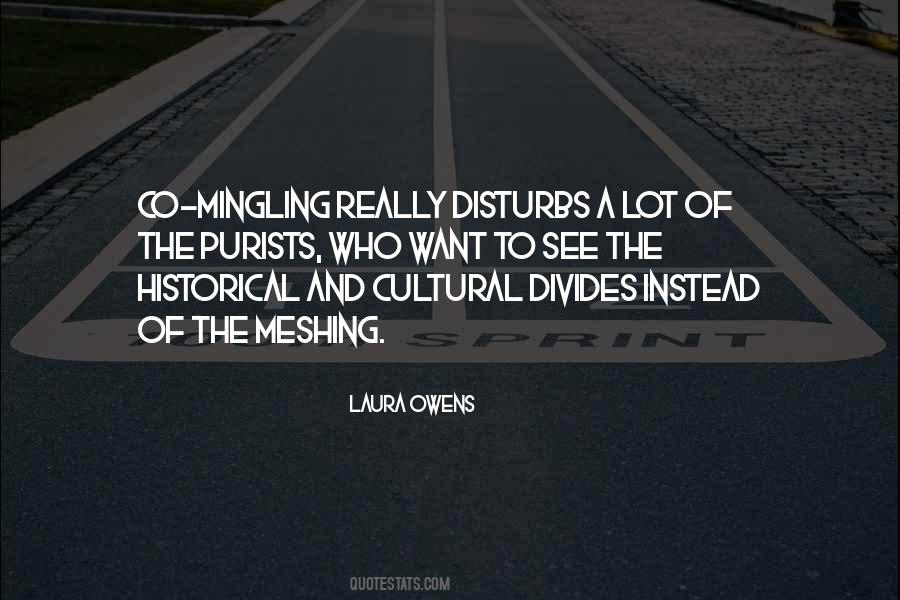 Rogelio Salmona Quotes #239601