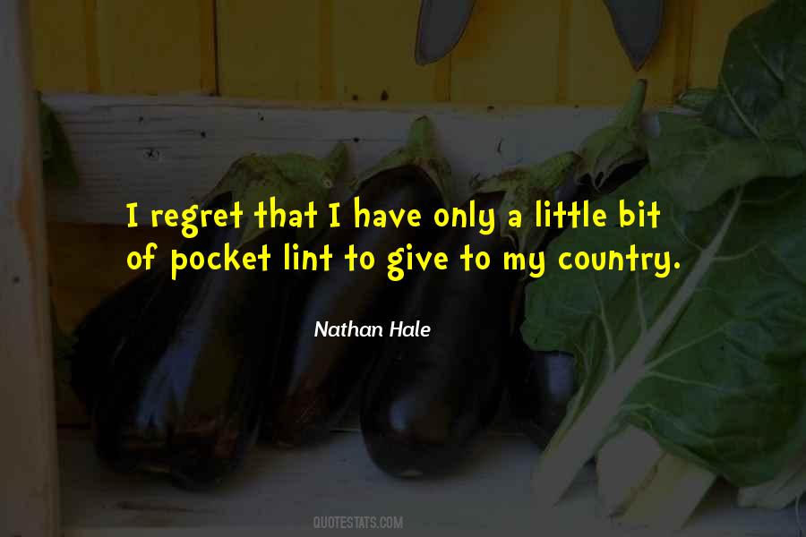 Quotes About Nathan Hale #970524