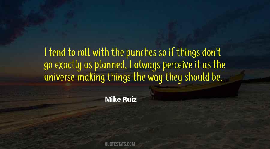 Roll With Punches Quotes #664686