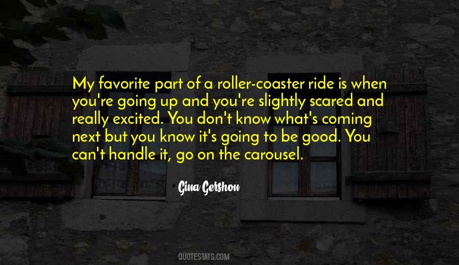 Roller Coaster Ride Quotes #1716265