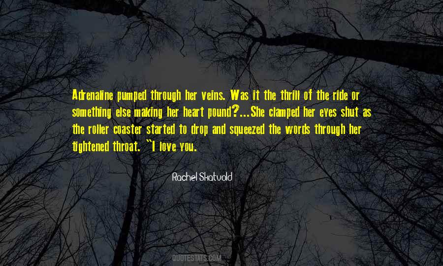 Roller Coaster Ride Quotes #970801