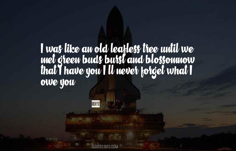 Rome Wasn't Built In A Day Funny Quotes #1564454