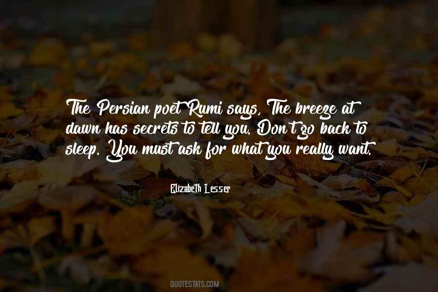 Quotes About Rumi #1183319