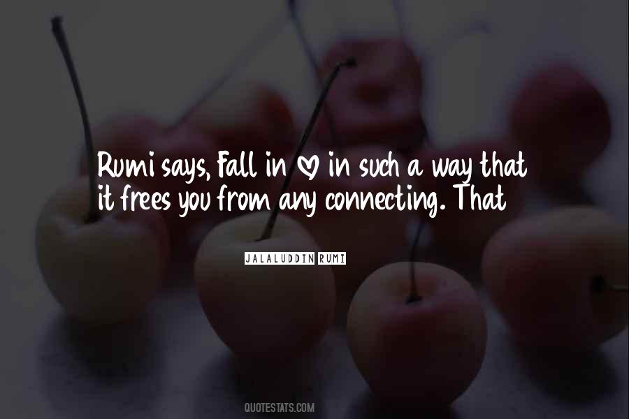 Quotes About Rumi #1675741
